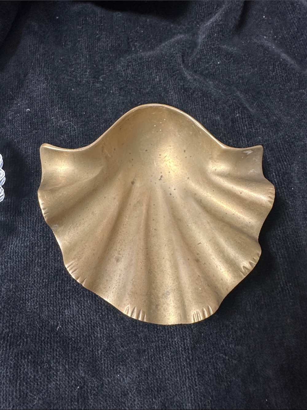 Brass Scallop Shell Trinket Dish